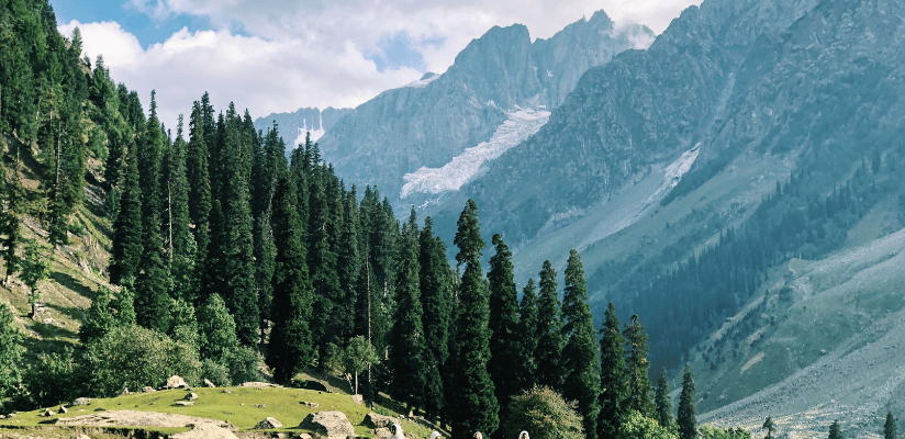 Discover the Magic of Kashmir with Trustworthy Tour and Travel