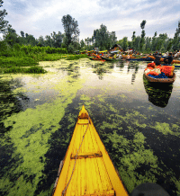 Srinagar